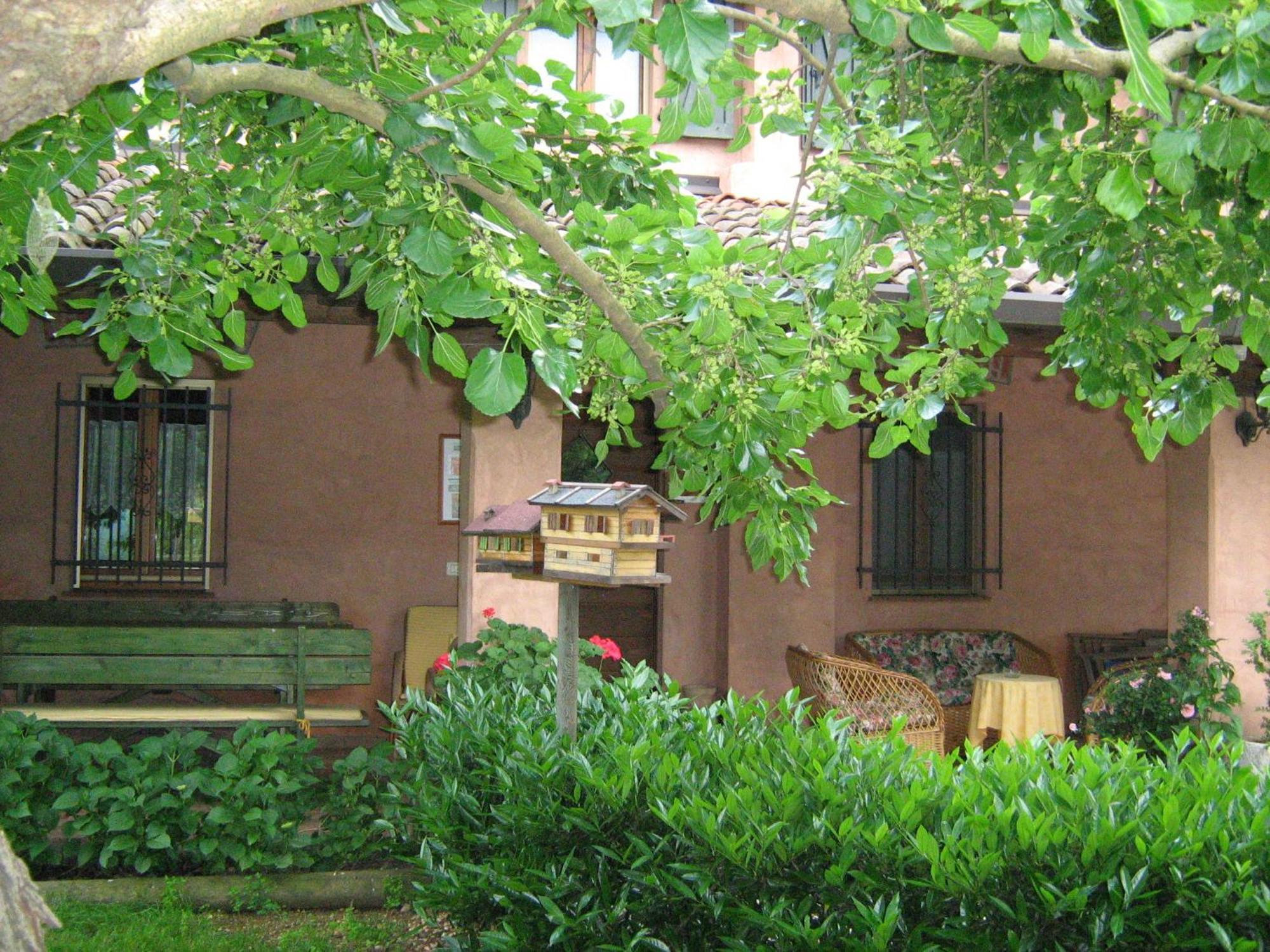 Agriturismo Borg Da Ocjs Medea Екстер'єр фото